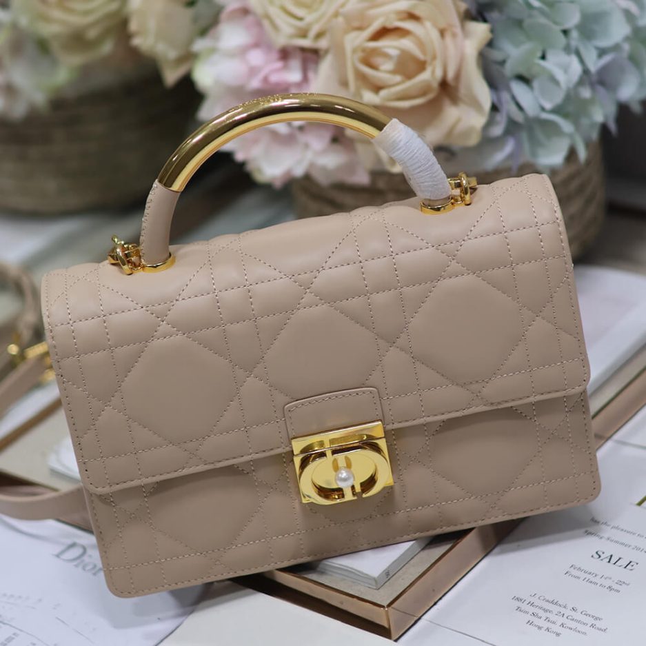 medium D*or ange bag