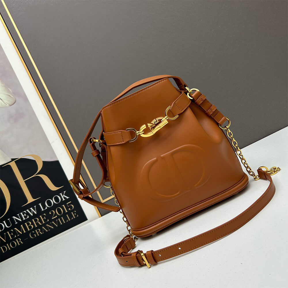 medium c’est D*or bag